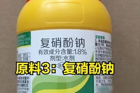 一种全新叶面肥复配方案，喷施48小时后叶子变绿，产量提高18%图片