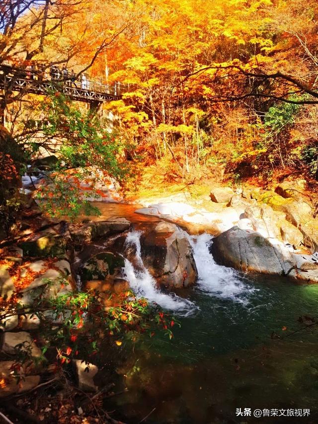 光雾山：川陕腹地的红叶秘境与千年回响