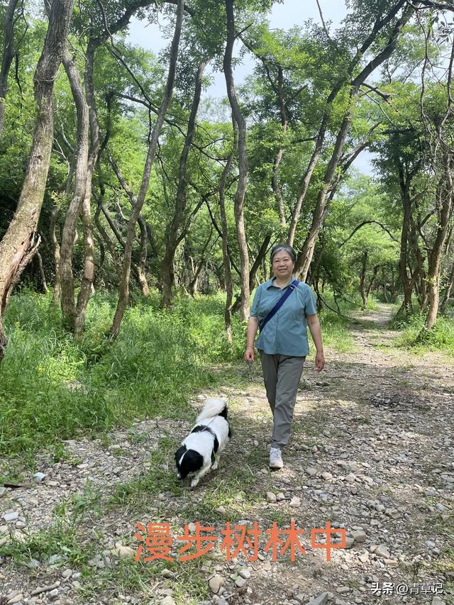 咸宁崇阳小九寨景区