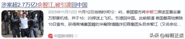 拔出萝卜带出泥！49岁赵薇近况被曝，原来圈内封杀只是冰山一角