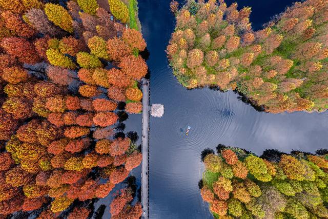 红了！红了！你最想和谁一起去？