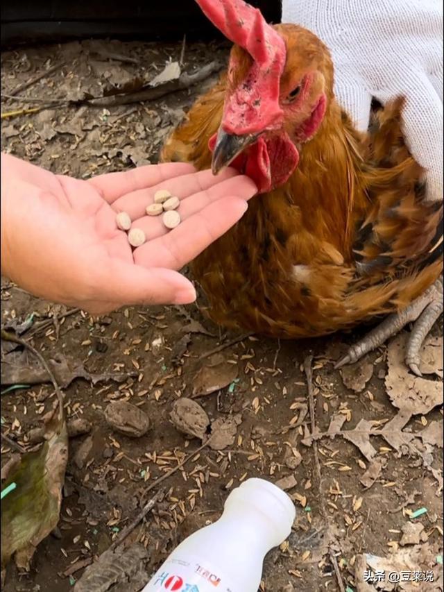 52年前，那个轰动一时的“白卷英雄”张铁生，如今过得怎样了？