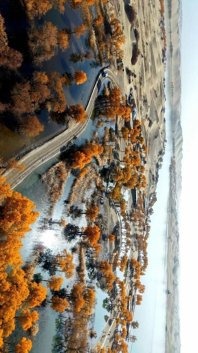 邢强 | 秋游南疆