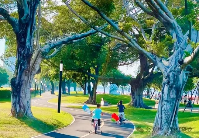 秋日骑行地图！6条亲子友好路线：彩虹道+湖景+滨海风光