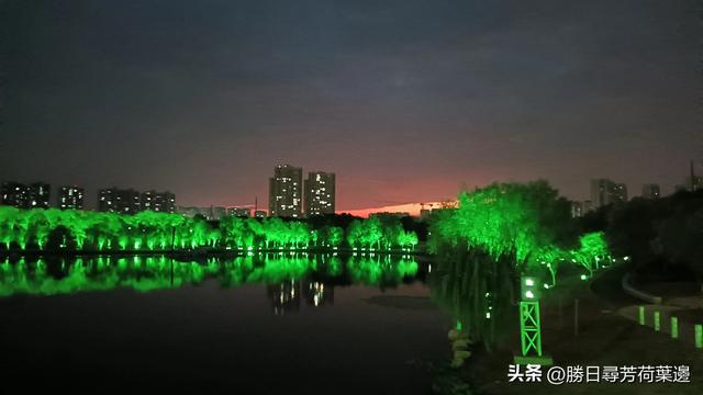 “铁拐李醉鱼”，古澴河消失了的美味——“八仙”孝感奇闻录