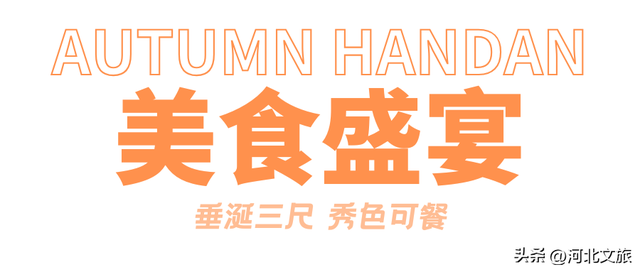 邯郸，你别太好逛了！