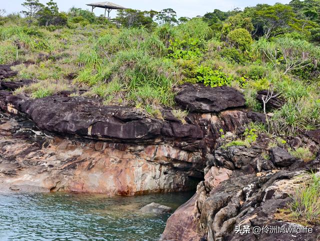 马来西亚(35)砂拉越州⑨峇哥国家公园徒步线路