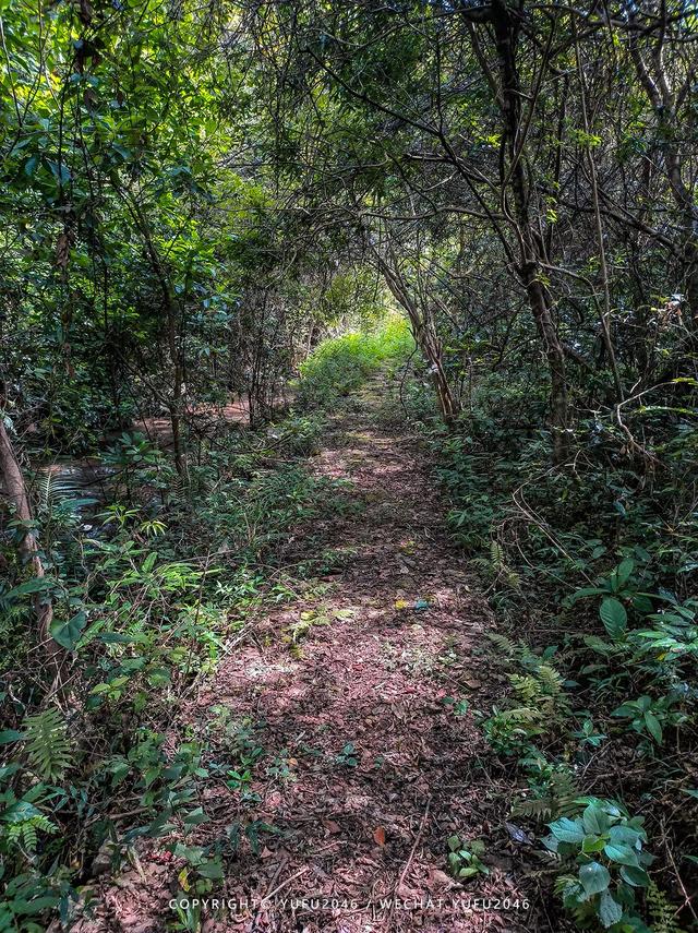 丰良九龙瀑布攻略