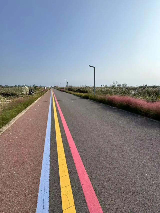 秋深景更美！运城最绚烂时刻到了！