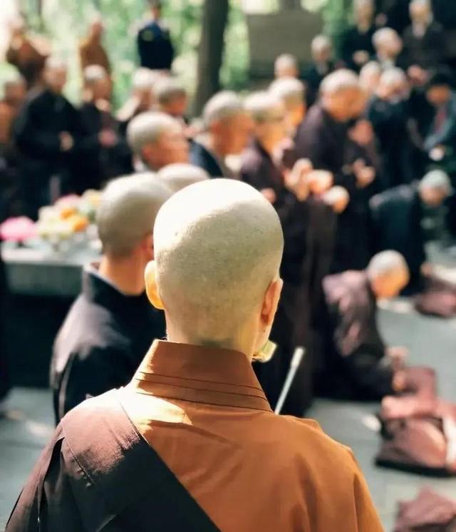 揭秘尼姑庵的黑暗面：尼姑平均年龄不到25，香客人来人往究竟为何