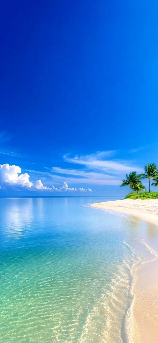 手机壁纸|夏日