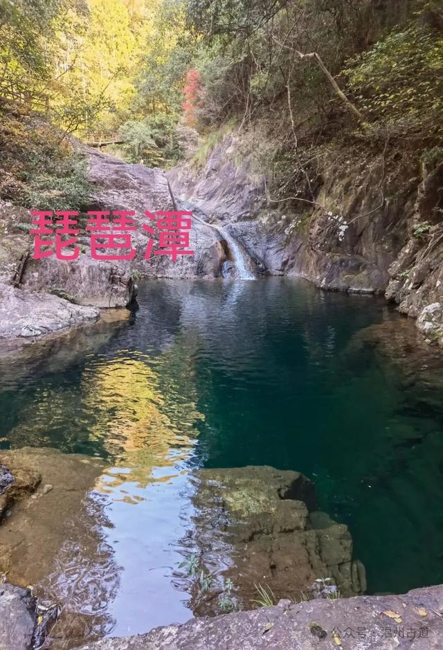 温州这个国家森林公园藏着深秋醉美的秋色,你可去过?