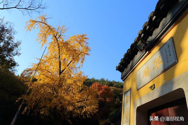 苏州穹窿山下香山草庵，冬日银杏和古庙的完美组合