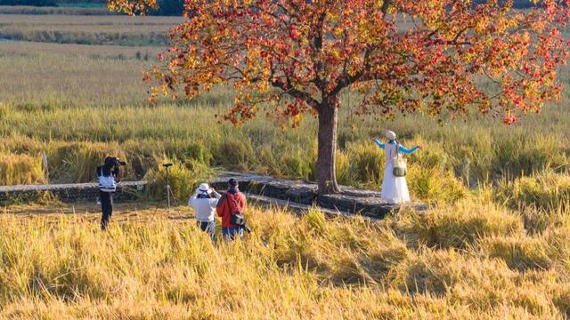 小红书火爆的黟县秋兴八景图上线！| 皖美冬日 | 第十五届安徽国际文化旅游节