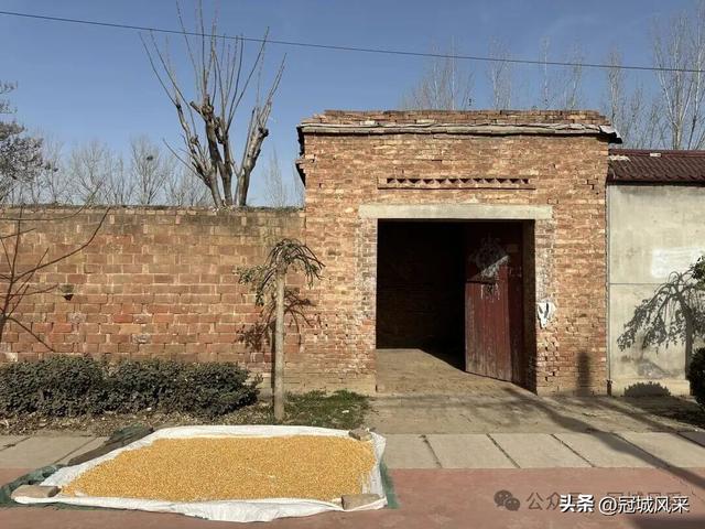 冠县乡韵·辛集镇饮马庄