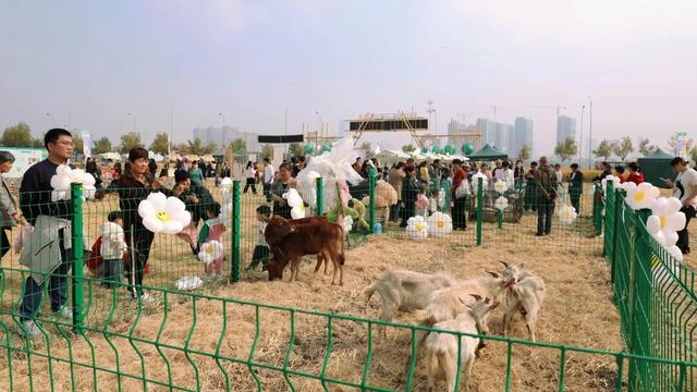 倒计时1天！来稻田CBD，觅都市桃花源
