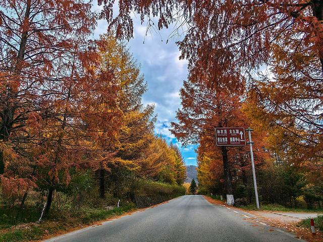 2024深秋四川行19 神农架风景区2 华中屋脊的五彩秘境