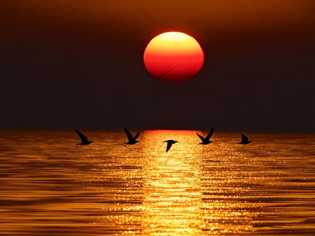 长桥卧波，水韵宿松：安徽最长跨湖大桥的自驾之旅