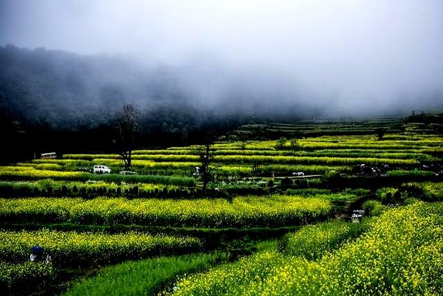 女人给你这4个“信号”，是暗示你别追了，她对你根本“没兴趣”