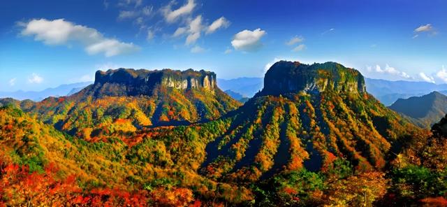 央视点赞的旺苍红叶有多绝？这些亮眼特色，承包你整个秋天的浪漫