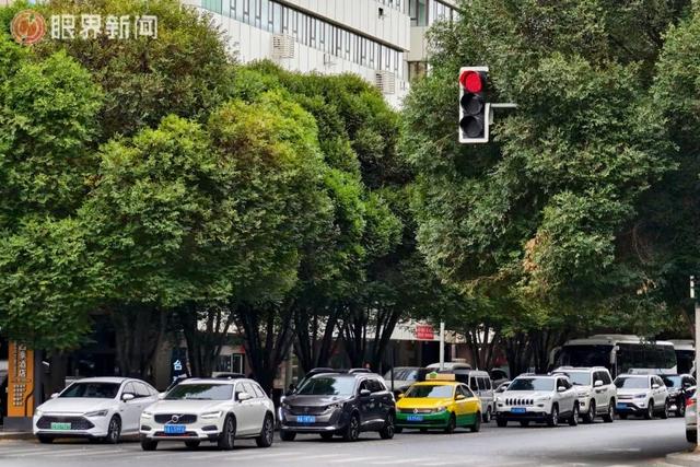 乌鲁木齐“含绿量”爆表了