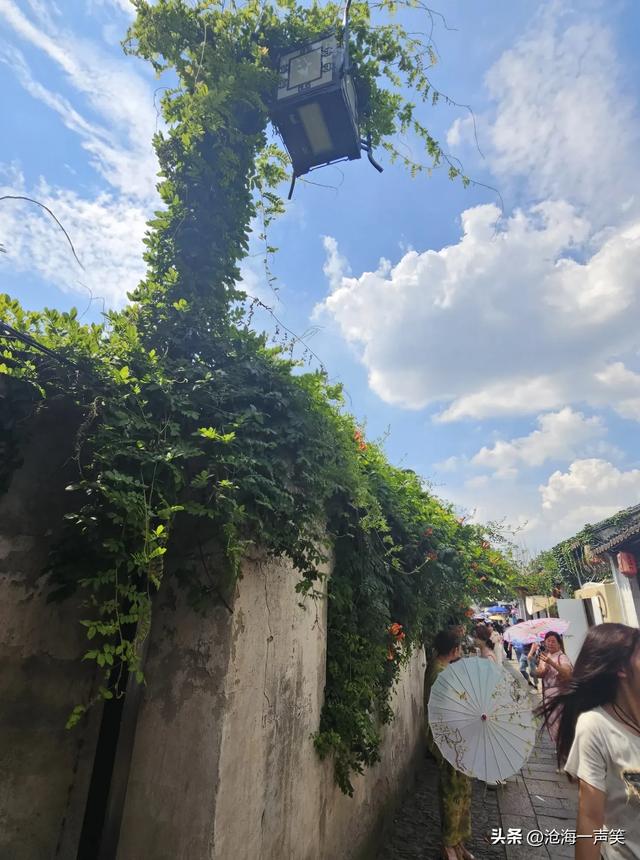 苏州平江路宁静与喧嚣，宁静的是悠久的历史，喧嚣的是攒动的人群