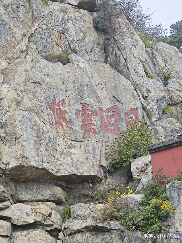 徒步登泰山之三——岱顶风光奇秀绝天下