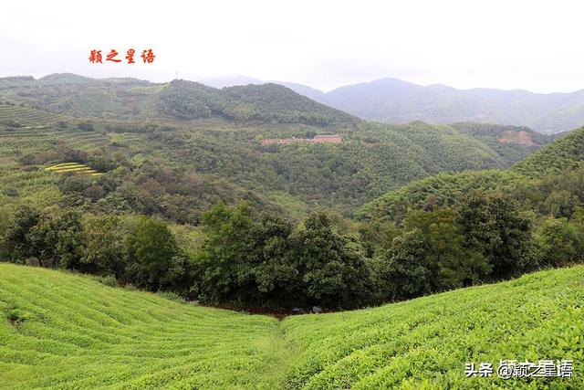 南山观景台，藏于深闺人未知，登高揽胜快意之事