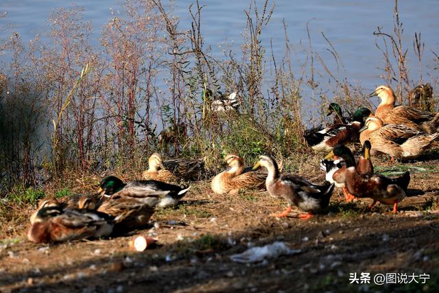 深秋时节，临汾有个富有诗意的好地方！