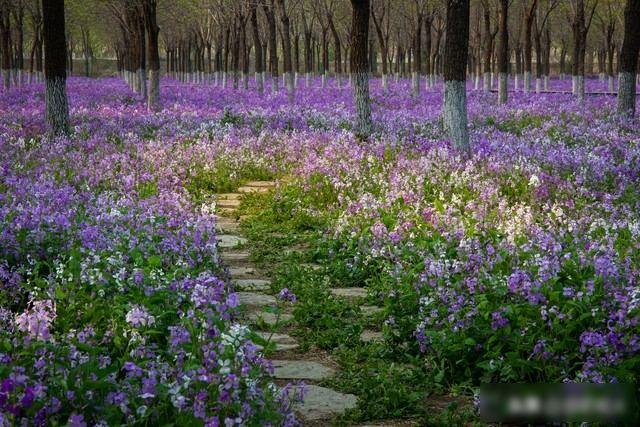 发现了没有	，很多丧偶的女人，在外面从来不说！自己是已经丧偶的