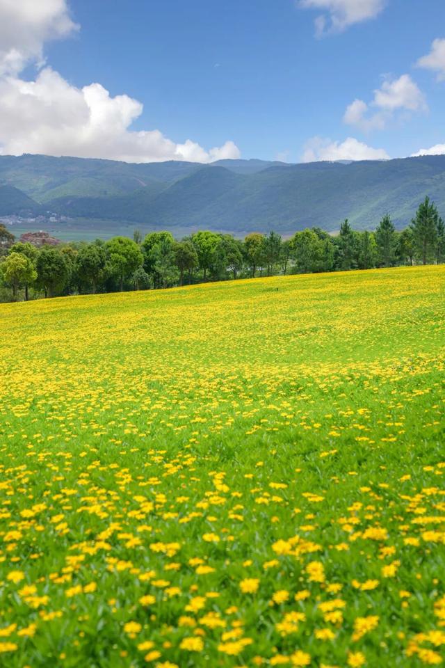 州庆，弥勒太平湖超多福利！红河人约起～