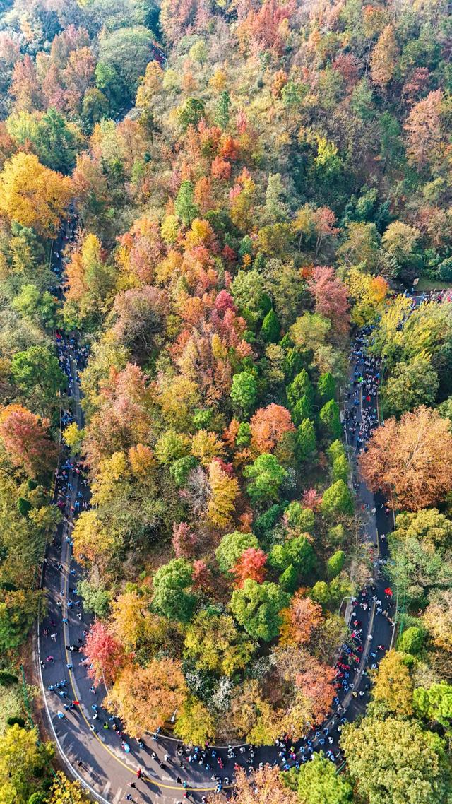 今天,万人齐聚木兰山!