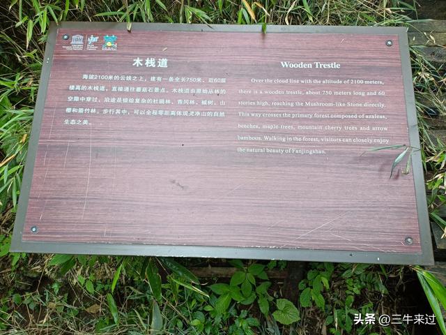 无为在歧路，贵州六日行（15）～梵净山