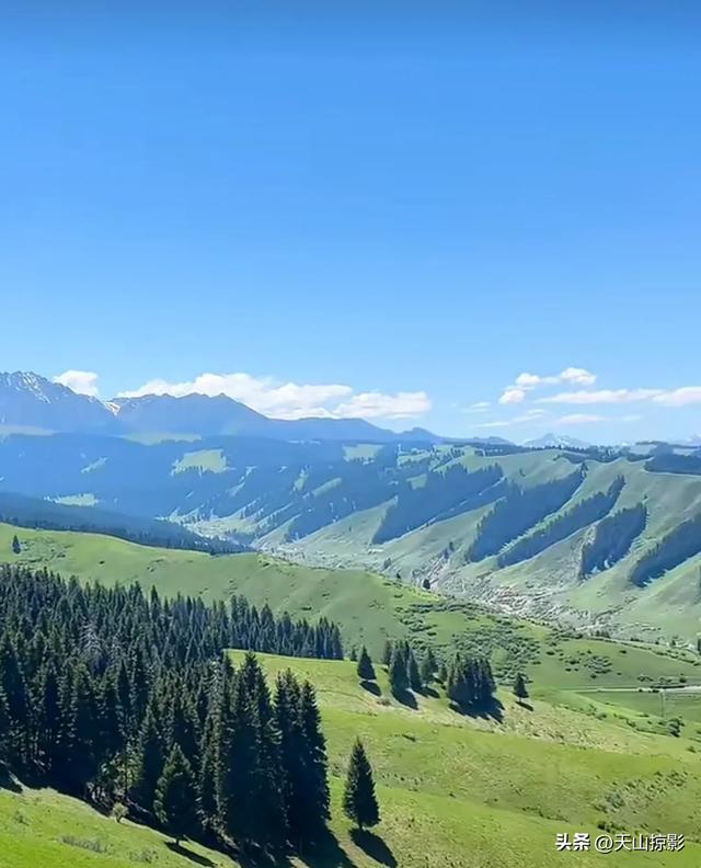 南山南