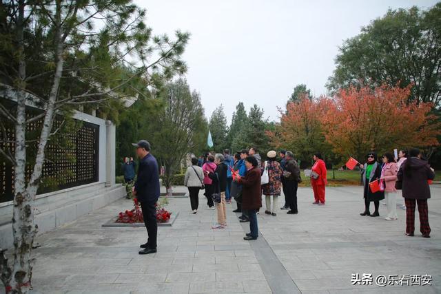“重阳踏秋・溯古寻风 ”让渭南文脉与重阳敬老温情深度交融