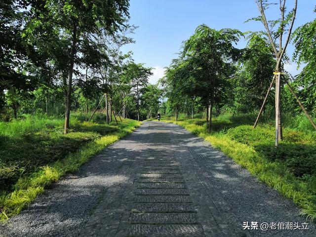 冬天的早上 晒着太阳从大观楼徒步到西山茶马花街 是什么样的感受？