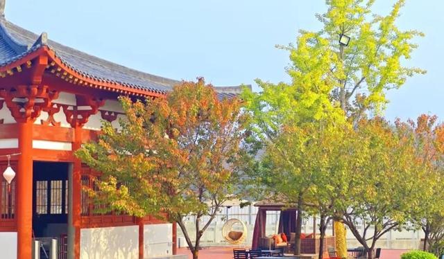 巨出片！观音湖「延迟版」秋景亮相