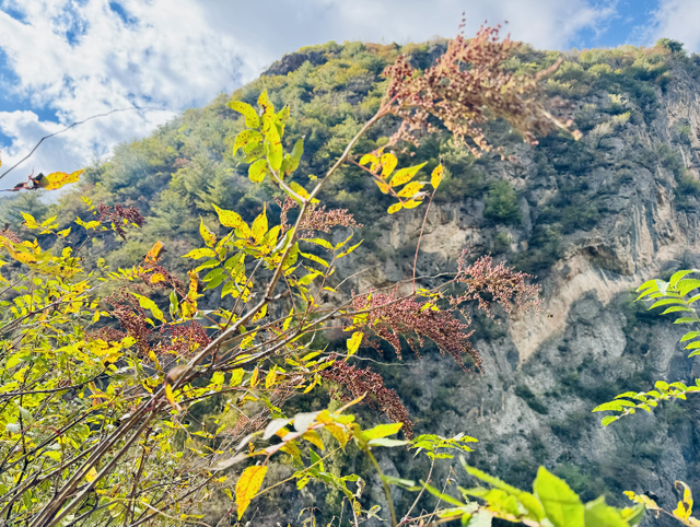 这么好看，不愧是遮阳山的秋天！