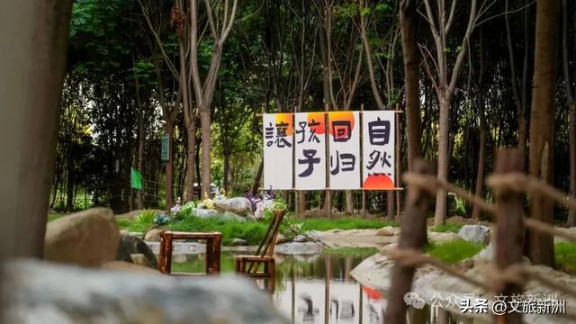 新洲宝藏营地上线!溯溪摸鱼×丛林穿越×星空烧烤,一站式撒野攻略→