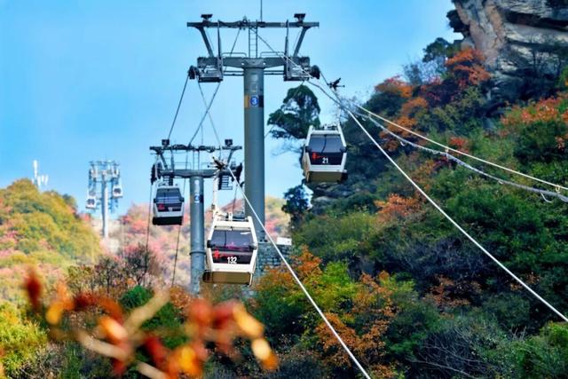 还能去哪儿赏最后一波秋色……