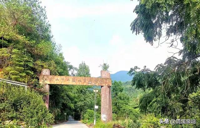 双柏连理处，情定九峰间