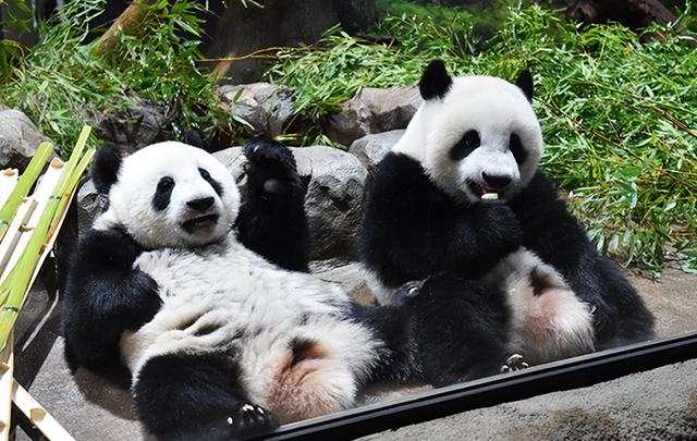 截止日期将至,中日韩达成联合声明,日本却提新要求,中国必须答应