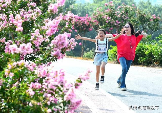 南漳：紫薇花争艳 游人醉其中