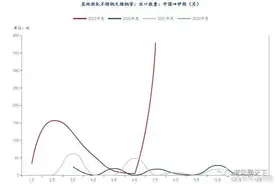 聊一聊，巴以冲突10天中，各国的“众生相”图片