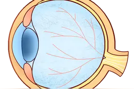防控儿童青少年近视核心知识十条图片
