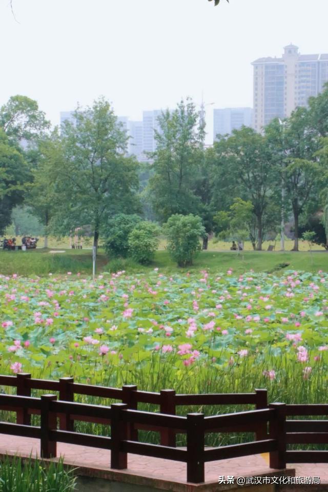 热热热！夏日避暑纳凉路线来啦