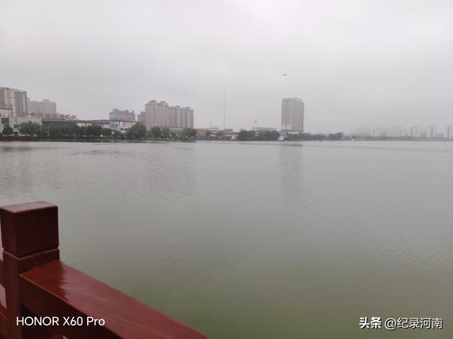 七上八下全国文明城市柘城县迎来汛期，晨练国家湿地公园榕湖发现