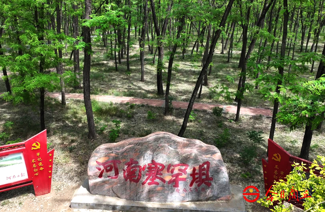 商丘筑牢生态安全线：沉陷区焕新、湿地栖百鸟，“森林商丘” 格局超大气