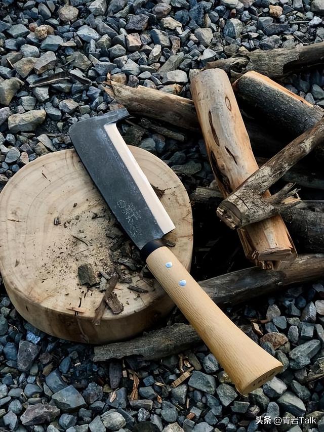 拒绝滤镜宣传片！七星山靠 “真实求生” 出圈，门票收入暴涨 310%