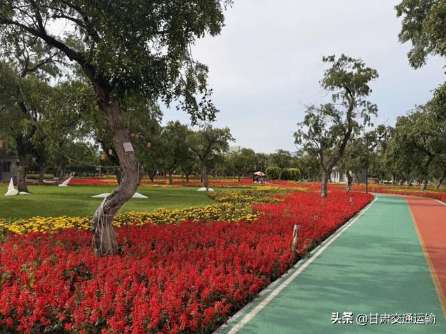 别再说甘肃只有沙漠！黄河三峡的“隐藏款”水运之旅火了